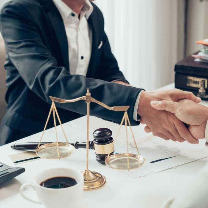 Business Law & Commercial Litigation Lawyer Trenton Michigan